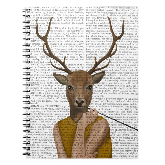 Caderno Espiral Querido Audrey (Frente)