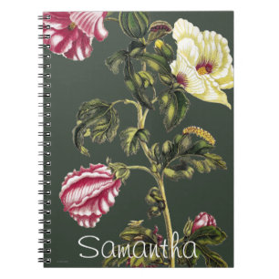 Caderno Espiral Quiabo