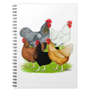 Caderno Espiral Quintet de Galinhas Ligadas a Sexo