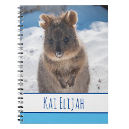 Caderno Espiral Quokka na Praia, Blue Boys