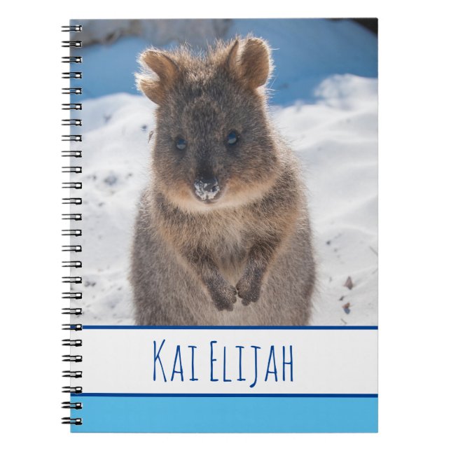 Caderno Espiral Quokka na Praia, Blue Boys (Frente)