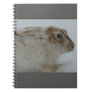 Caderno Espiral R11 Snowshoe Hare Head Shot