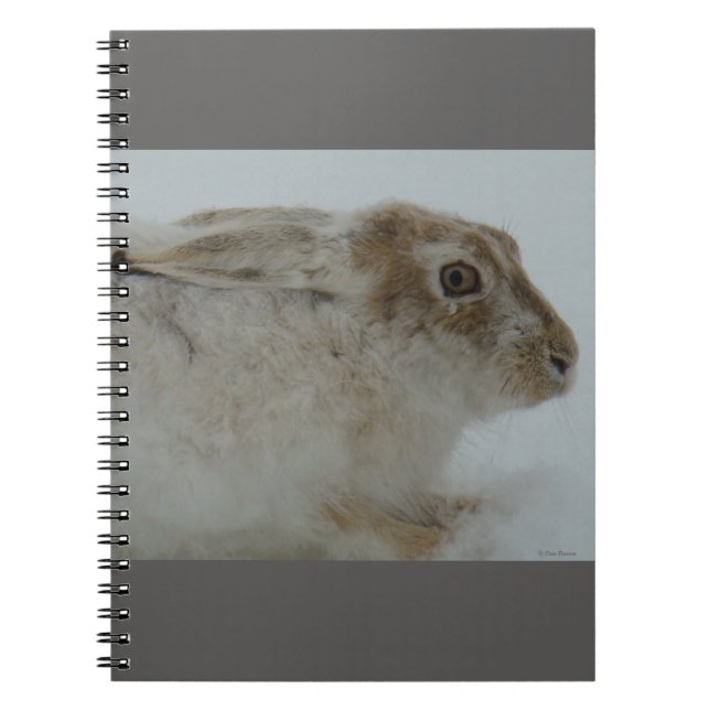 Caderno Espiral R11 Snowshoe Hare Head Shot (Frente)