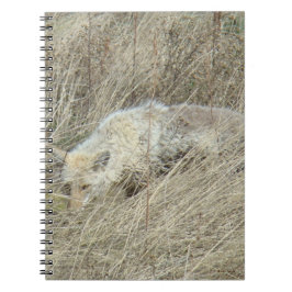 Caderno Espiral R13 Coyote em Grama Alta
