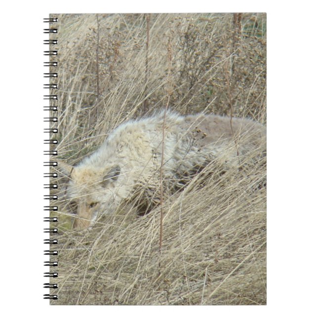 Caderno Espiral R13 Coyote em Grama Alta (Frente)