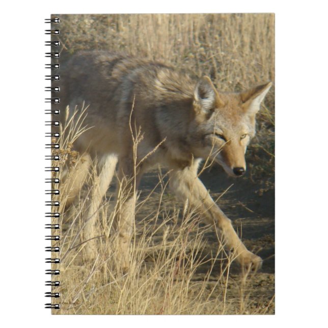 Caderno Espiral R14 Marcha de Coyote (Frente)