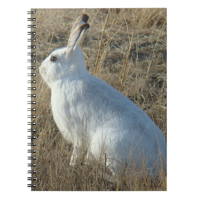 Caderno Espiral R25 Areia de Snowshoe (Frente)