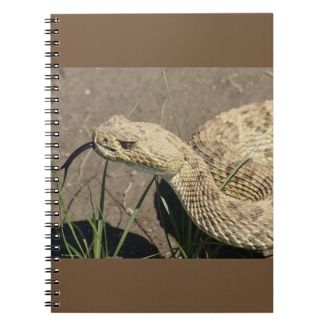 Caderno Espiral R8 Prairie Rattlesnake Head Shot (Frente)