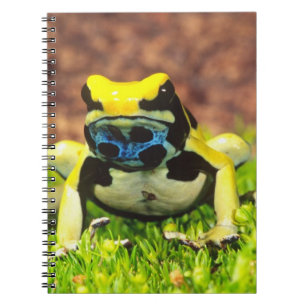 Caderno Espiral Rã-veneno-de-tinta, Dendrobates tinctorius,