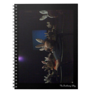 Caderno Espiral Rabbit Cinema Notebook