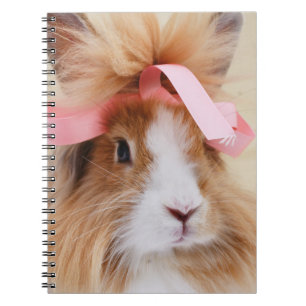 Caderno Espiral Rabbit de coelho liso