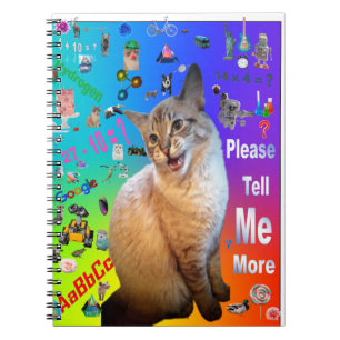 Caderno Espiral Ragdoll para notebook Spiral