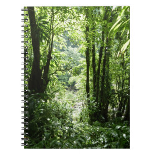 Caderno Espiral Rain Forest II Tropical Verde