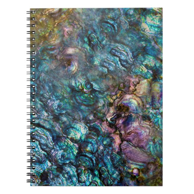 Caderno Espiral Rainbow Iridescente Sea Shell Abalone (Frente)
