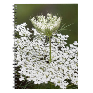 Caderno Espiral Rainha Ann's Lace