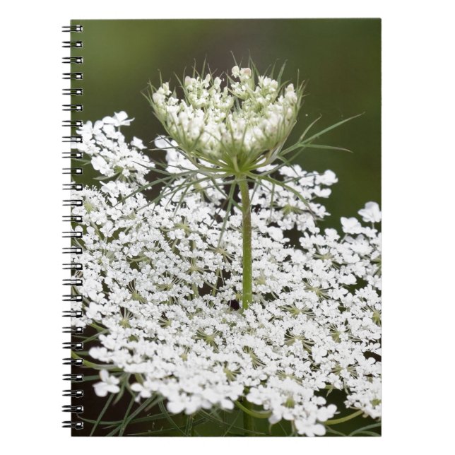 Caderno Espiral Rainha Ann's Lace (Frente)
