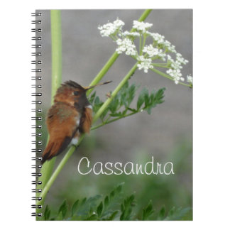 Caderno Espiral Raios e pássaros da Ann