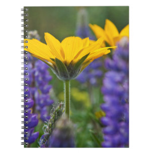 Caderno Espiral Raiz de Bálsamo de Folha de Seta e Lupino em Flora