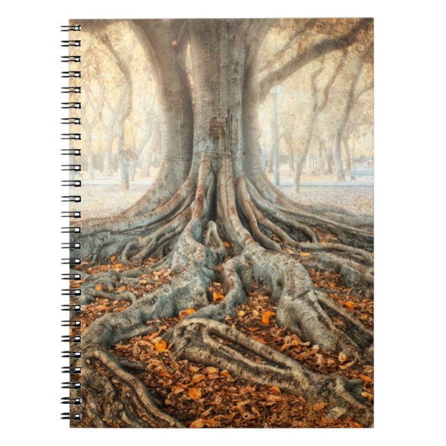 Caderno Espiral Raízes de Árvore Antigas (Frente)