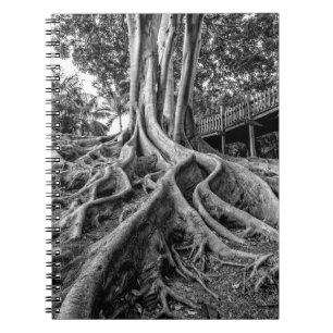 Caderno Espiral Raízes maciças de seringueira