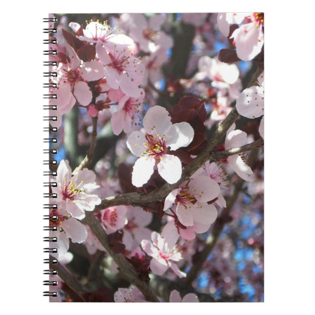 Caderno Espiral Ramificação de Brilhos Rosa Primavera Floral (Frente)