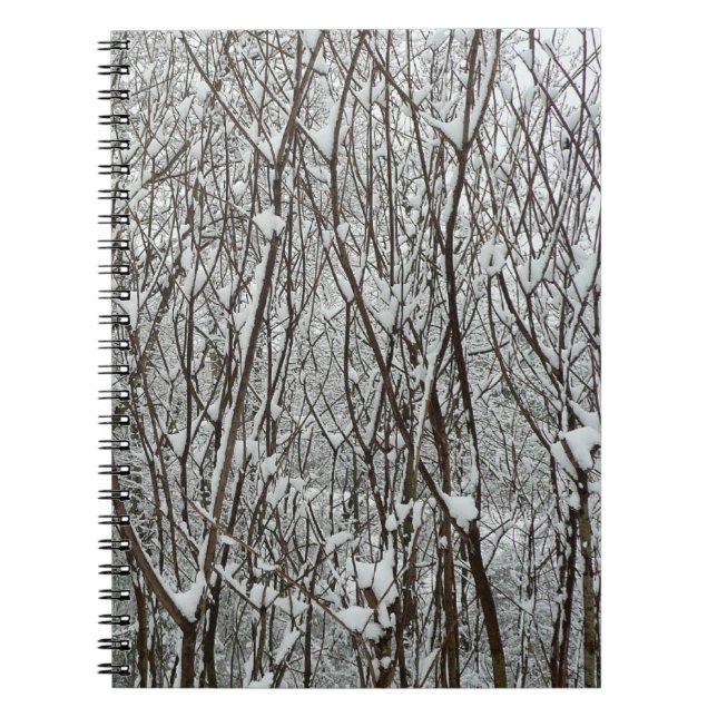 Caderno Espiral Ramificações cobertas por neve Abstrato de inverno (Frente)