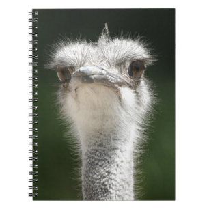 Caderno Espiral Ramo