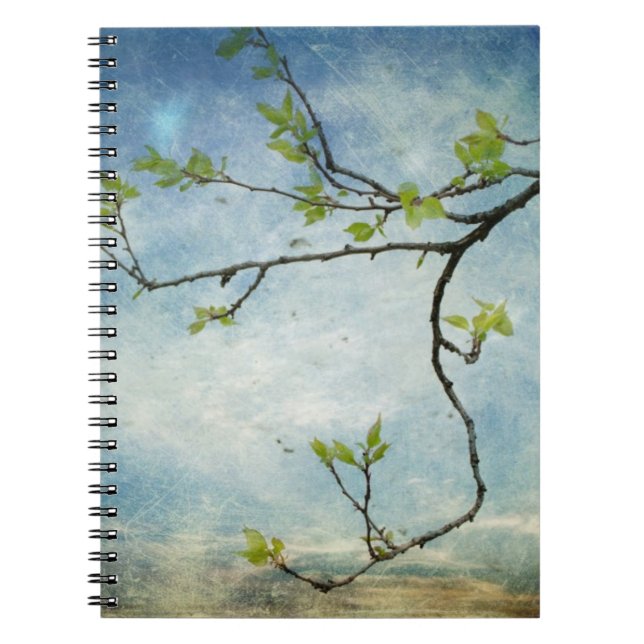 Caderno Espiral Ramo de árvore sobre o céu Textured (Frente)