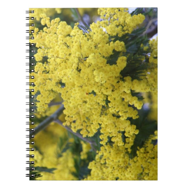 Caderno Espiral Ramo de mimosa (Frente)