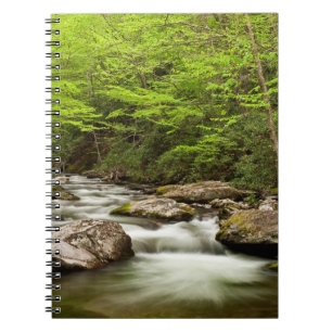 Caderno Espiral Ramo Reto Flui Através da Floresta