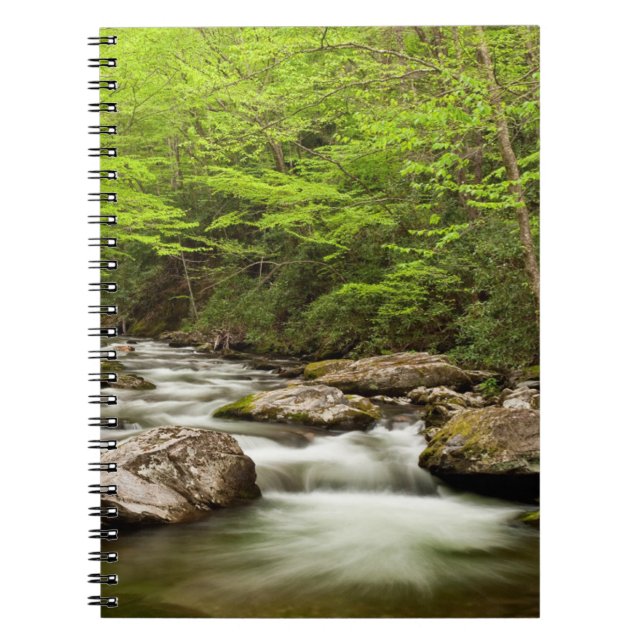 Caderno Espiral Ramo Reto Flui Através da Floresta (Frente)