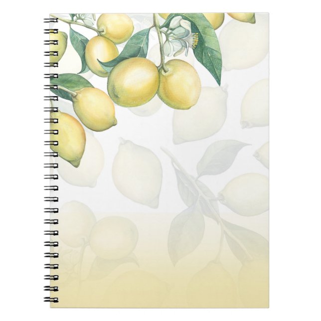 Caderno Espiral Ramos de Limão Branco & Amarelo Campo Chic Rústico (Frente)