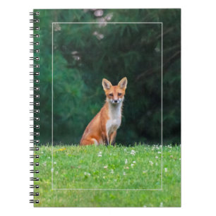Caderno Espiral Raposa