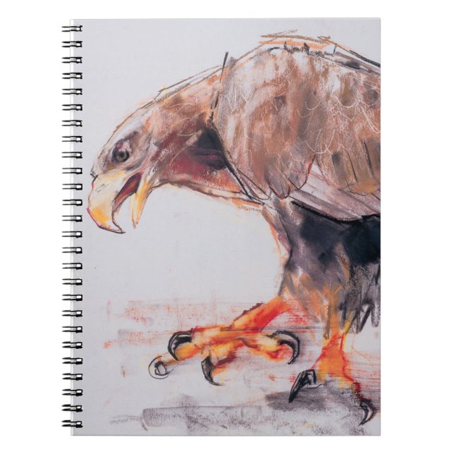 Caderno Espiral Raptor 2001 (Frente)