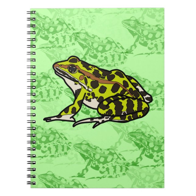 CADERNO ESPIRAL RÃS (Frente)