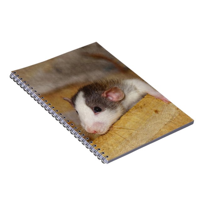 Caderno Espiral Rato Cujo (Lado Direito)
