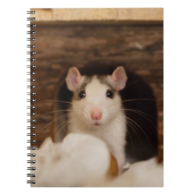 Caderno Espiral Rato Cujo (Frente)