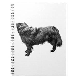 Caderno Espiral Razão de outono
