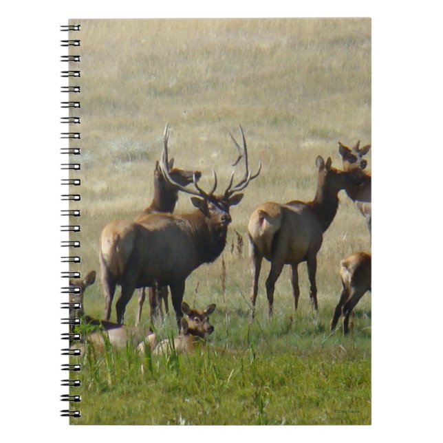 Caderno Espiral Rebanho de Alces E36 no Poço de Água (Frente)