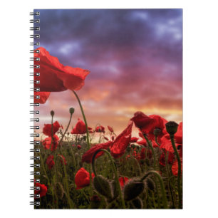 Caderno Espiral Recordando o campo de   das papoilas