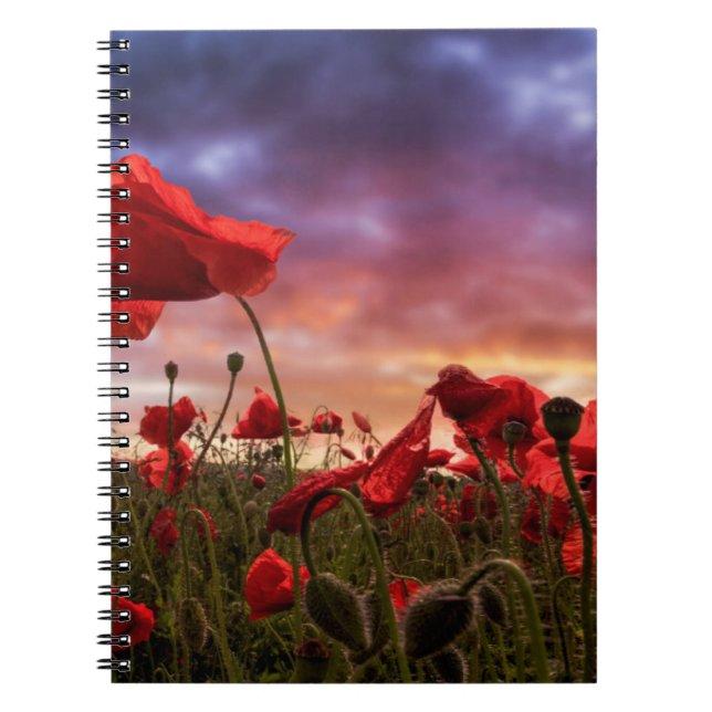 Caderno Espiral Recordando o campo de | das papoilas (Frente)