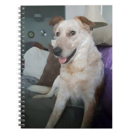 Caderno Espiral Red Heeler
