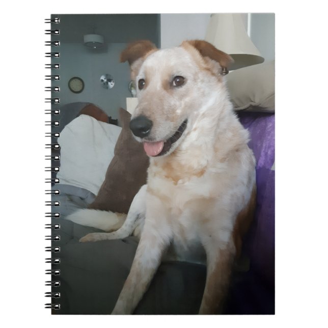 Caderno Espiral Red Heeler (Frente)