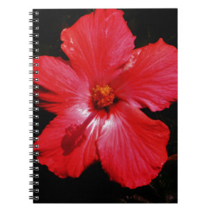 Caderno Espiral Red Hibiscus