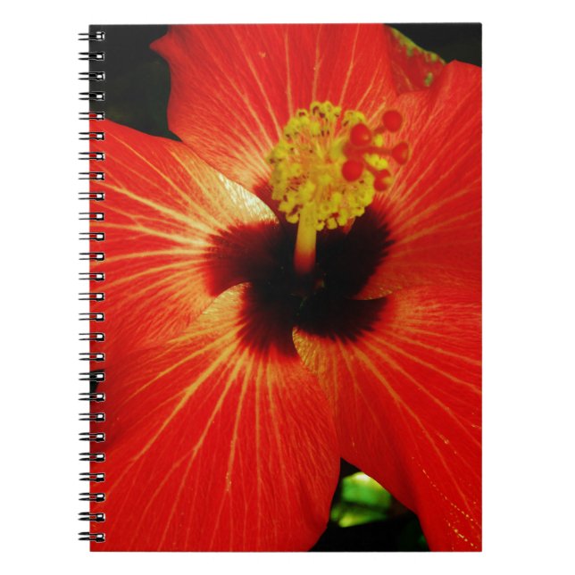 Caderno Espiral Red Hibiscus (Frente)