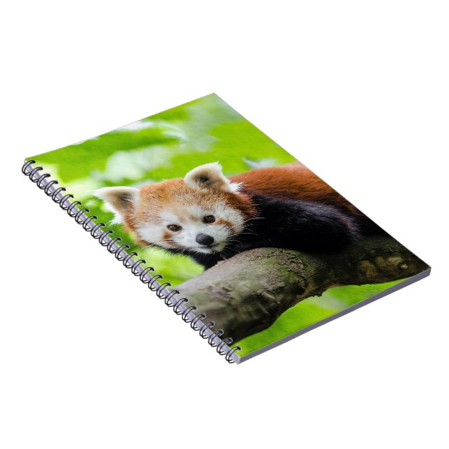 Caderno Espiral Red Panda (Lado Direito)