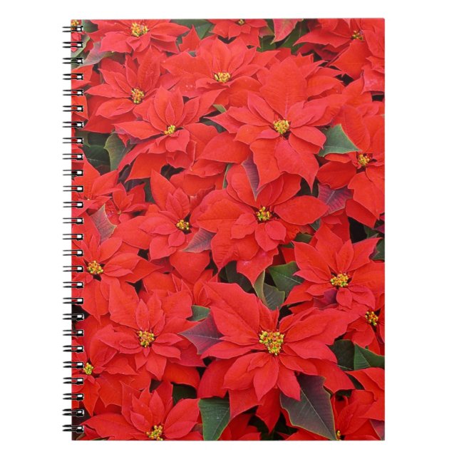 Caderno Espiral Red Poinsettias I Festa Floral de Natal (Frente)