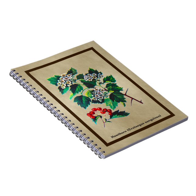 Caderno Espiral Redhaw Hawthorn Em Papel Antigo (Lado Direito)