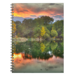 Caderno Espiral Reflexão