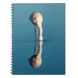 Caderno Espiral Reflexão do flamingo, Laguna Chaxa, Atacama